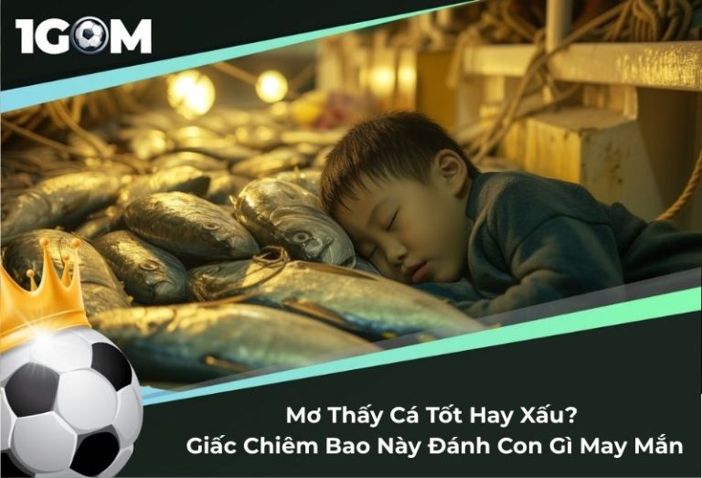 Mơ Thấy Cá Tốt Hay Xấu? Giấc Chiêm Bao Này Đánh Con Gì May Mắn